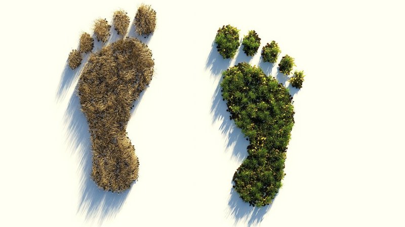 Zwei Fußabdrücke aus Pflanzen, einer aus ausgetrockneten und einen aus gesunden