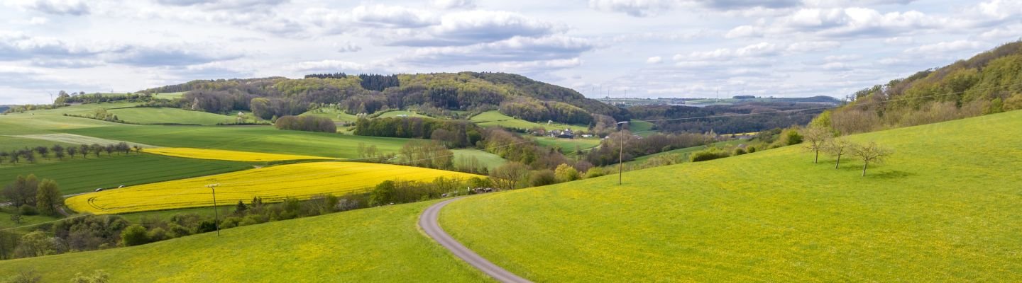 Streuobstwiesen in Holsthum