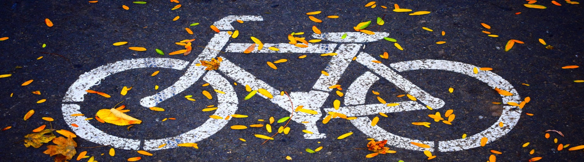 weißes Fahrradsymbol auf Straße mit Laubblättern